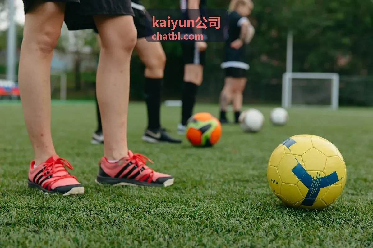 kaiyun公司 圆桌嘉宾 郑南